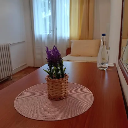 Vlasina - Vlasinsko Jezero فندق *