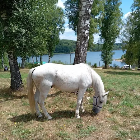 Hotel Vlasina - Vlasinsko Jezero *