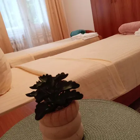 Hotel Vlasina - Vlasinsko Jezero *