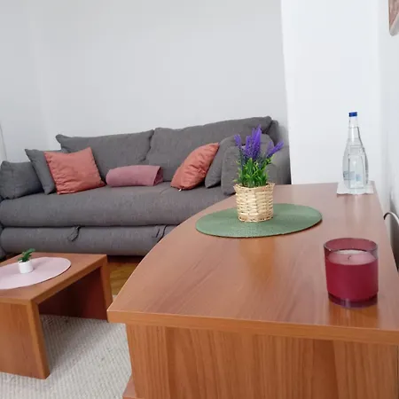 فندق Vlasina - Vlasinsko Jezero *