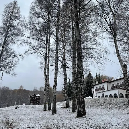 Vlasina - Vlasinsko Jezero Hotel *